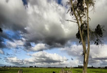 重庆斯威主场气氛热烈，支持团队士气高昂