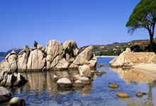 齐鲁体育场上精彩纷呈，赛场为胜利欢呼