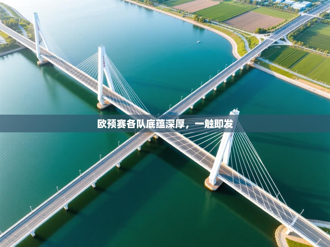 欧预赛各队底蕴深厚，一触即发  第2张